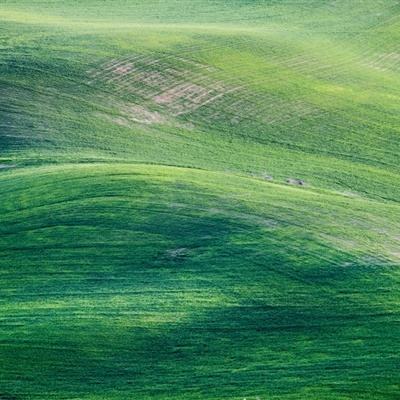 幻想无双游戏下载