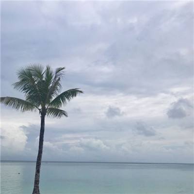 暗夜格斗公测版下载