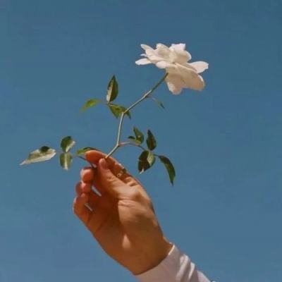 启源女神九游版下载