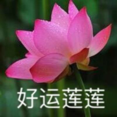 三国志bt果盘无限版下载
